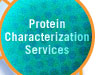 Protein Characterization Services